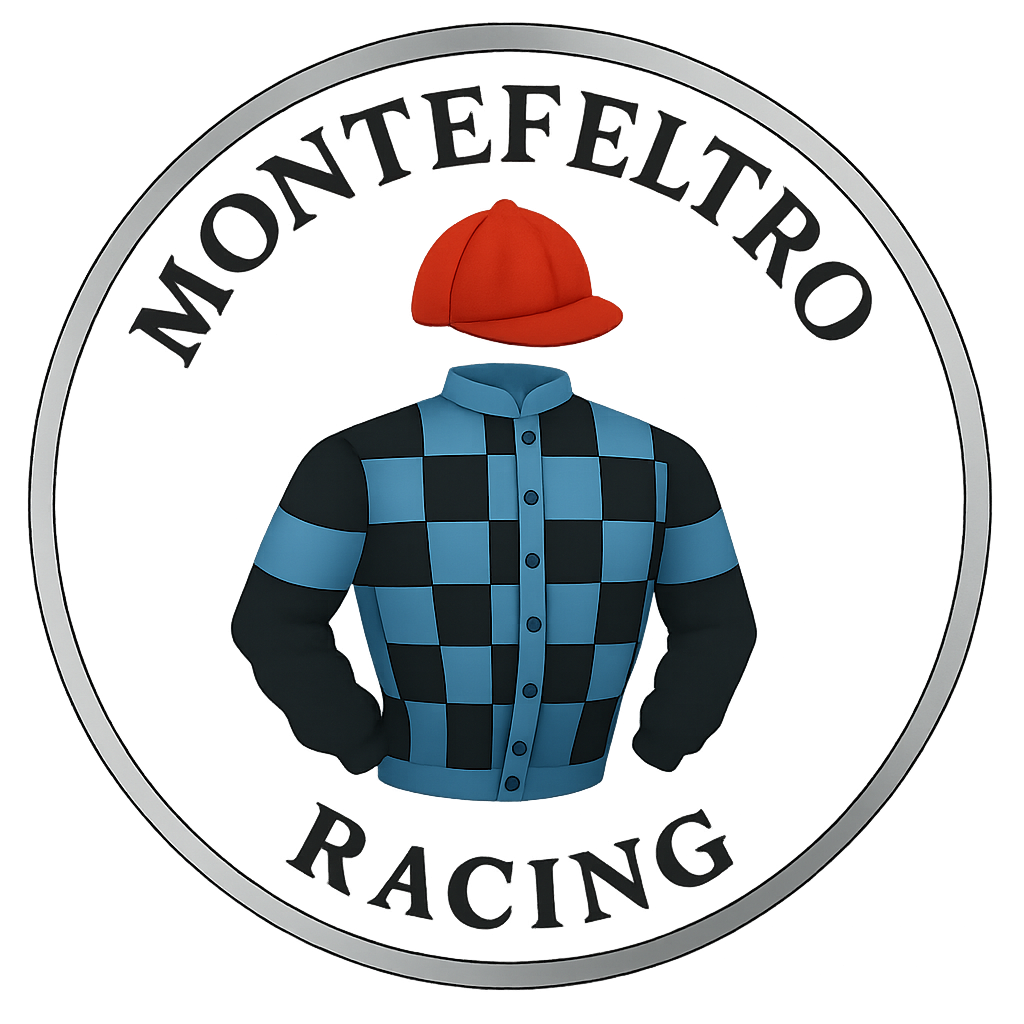 Montefeltro Racing